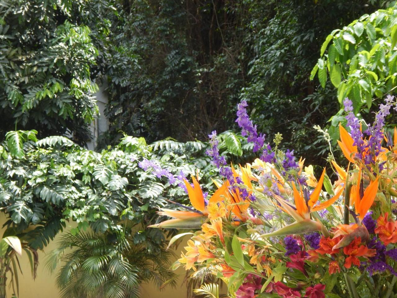 Casa Sao Conrado Río de Janeiro
